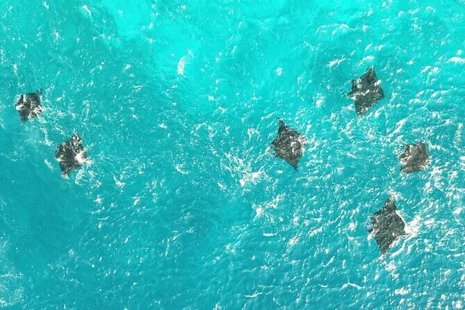 Early Morning Private Komodo Speedboat Tour - FAQs