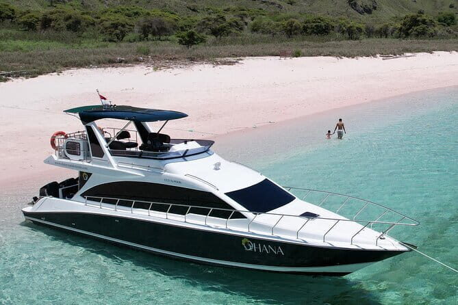 Early Morning Private Komodo Speedboat Tour - Authentic Insights from Reviewers