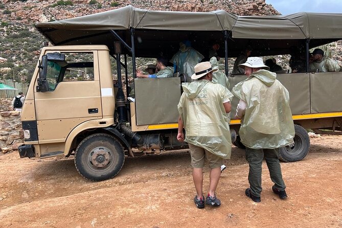Early Morning Safari Big Five Experience - Pickup Points and Coordination
