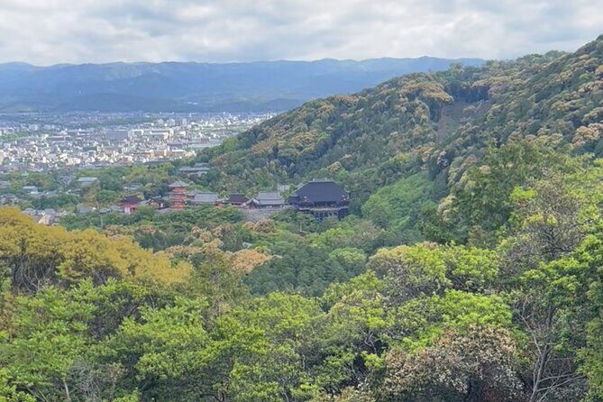 Early Morning Walking Tour: Historic Temples and Shrines - The Sum Up