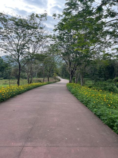 Early My Son Tour (7 A.M) to Avoid Crowd and the Heat - Tour Details