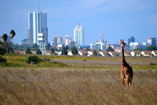 Early Nairobi Park Giraffe Centre and Optional Elephant Orphanage - Meeting and Pickup Details