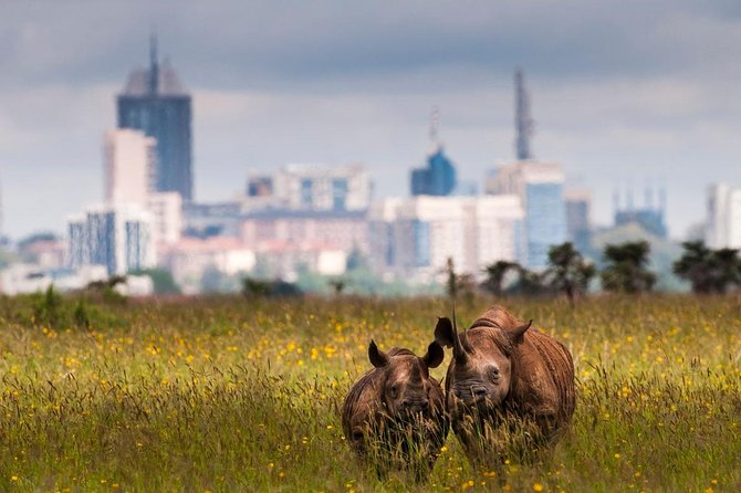 Early Nairobi Park Giraffe Centre and Optional Elephant Orphanage - Additional Information