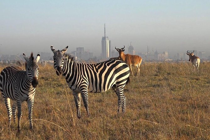 Early Nairobi Park Giraffe Centre and Optional Elephant Orphanage - Pricing Details