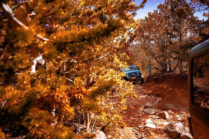 Early Season Special: Scenic Jeep Tour - What Is the Early Season Special: Scenic Jeep Tour?