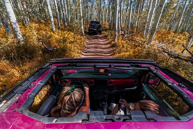 Early Season Special: Scenic Jeep Tour - What to Expect on the Tour