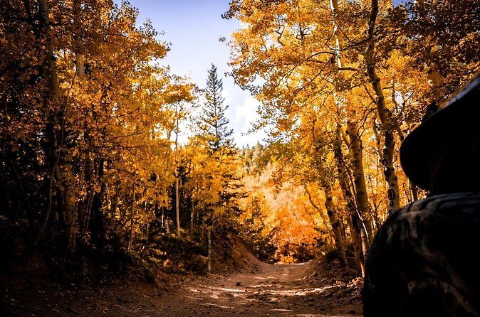 Early Season Special: Scenic Jeep Tour - Who Is This Tour Best For?