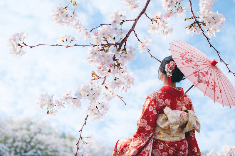 Early Spring Cherry Blossom Limited: Kyushu Saga | Mifuneyama Rakuen & Yutoku Inari Shrine & Dazaifu Tenmangu Shrine & Ouo Shrine & Asahigaoka Park | Departing from Fukuoka - The day’s best reasons to go