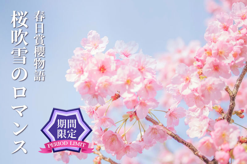 Early Spring Cherry Blossom Limited: Kyushu Saga | Mifuneyama Rakuen & Yutoku Inari Shrine & Dazaifu Tenmangu Shrine & Ouo Shrine & Asahigaoka Park | Departing from Fukuoka - Five stops, one long day from Fukuoka