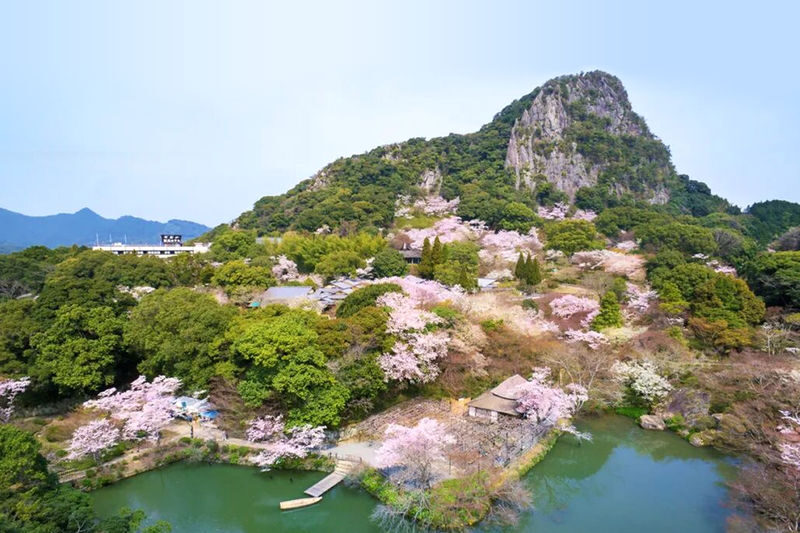 Early Spring Cherry Blossom Limited: Kyushu Saga | Mifuneyama Rakuen & Yutoku Inari Shrine & Dazaifu Tenmangu Shrine & Ouo Shrine & Asahigaoka Park | Departing from Fukuoka - Yutoku Inari: the day’s most dramatic shrine