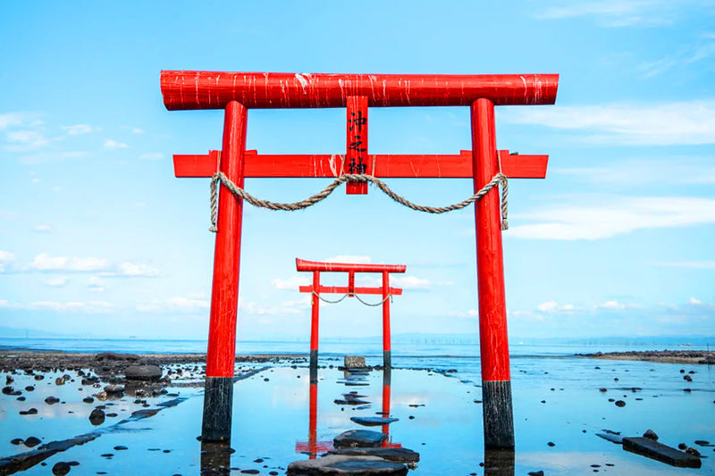 Early Spring Cherry Blossom Limited: Kyushu Saga | Mifuneyama Rakuen & Yutoku Inari Shrine & Dazaifu Tenmangu Shrine & Ouo Shrine & Asahigaoka Park | Departing from Fukuoka - Is this Saga cherry blossom tour right for you?