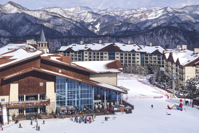 Earlybird: High1 Resort Ski & Snow World Day Tour from Seoul - What the lesson can and cannot teach