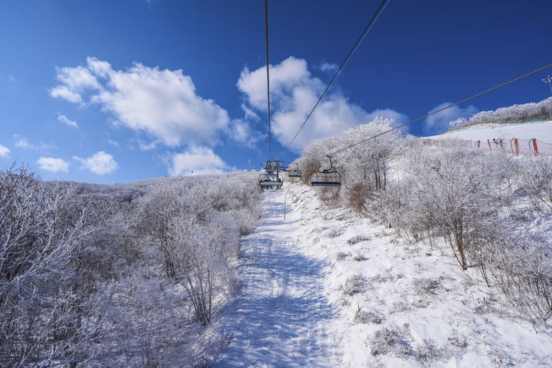 Earlybird: High1 Resort Ski & Snow World Day Tour from Seoul - Six hours at High1, from fittings to final bus call