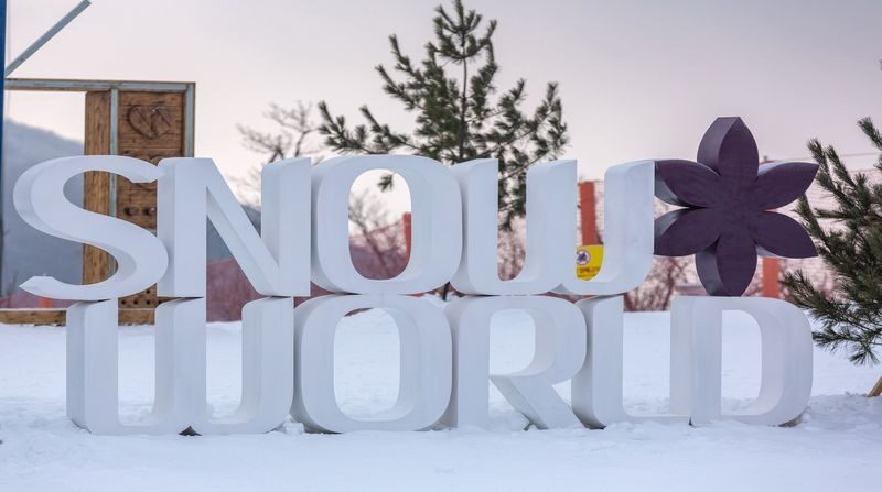 Earlybird: High1 Resort Ski & Snow World Day Tour from Seoul - Is this High1 day trip right for you?