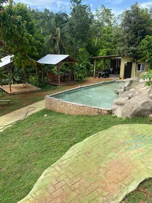 Earth Family Farms: Collier Gully Holistic River Nature Hike - An In-Depth Look at the Collier Gully Experience