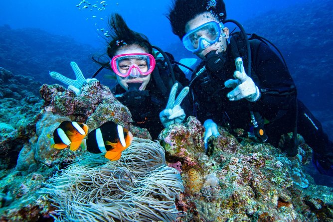 Easily Set Sail by Boat! / Blue Cave Experience Diving - Confirmation and Recommendations