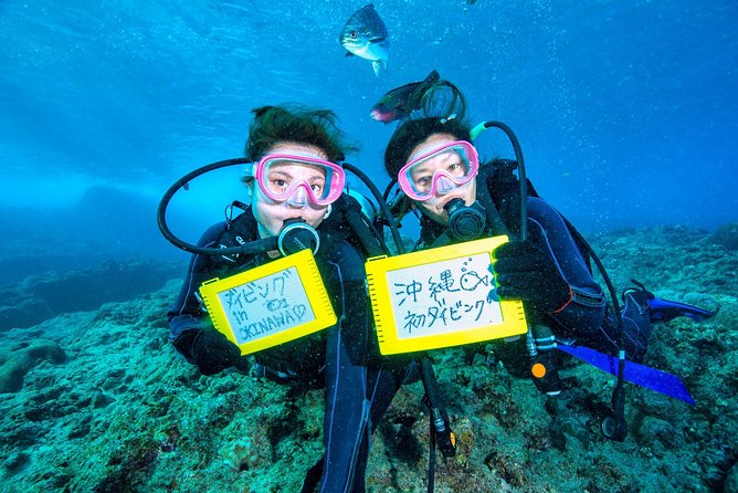 Easily Set Sail by Boat! / Blue Cave Experience Diving - About Viator
