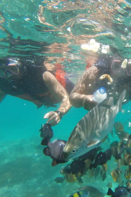 East Bali : 3 Spot Blue Lagoon Snorkeling With Turtle Point - Detailed Itinerary