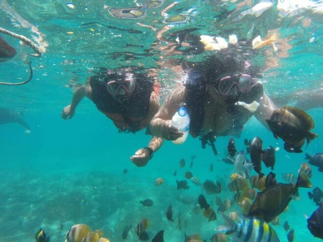 East Bali : 3 Spot Blue Lagoon Snorkeling With Turtle Point - Essential Packing List