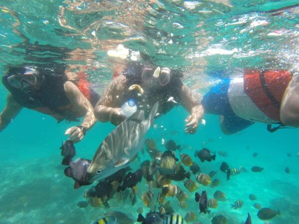 East Bali : 3 Spot Blue Lagoon Snorkeling With Turtle Point - Questions You May Have