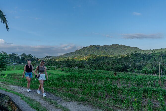East Bali Authentic Sidemen Rice Fields Walk and Snorkeling - An In-Depth Look at the Tour