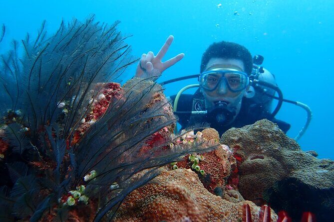 East Bali Authentic Sidemen Rice Fields Walk and Snorkeling - Who Will Love This Tour?