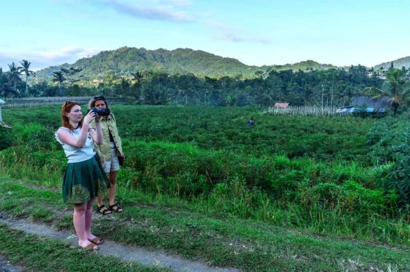 East Bali: Authentic Sidemen Rice Fields Walk & Snorkeling - Why This Tour Is a Great Choice