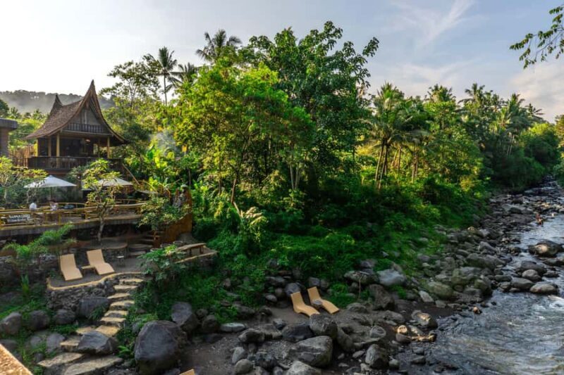East Bali: Authentic Sidemen Rice Fields Walk & Snorkeling - Who Would Love This Tour?