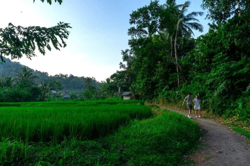 East Bali: Authentic Sidemen Rice Fields Walk & Snorkeling - Introduction: A Day of Natural Beauty and Culture in East Bali