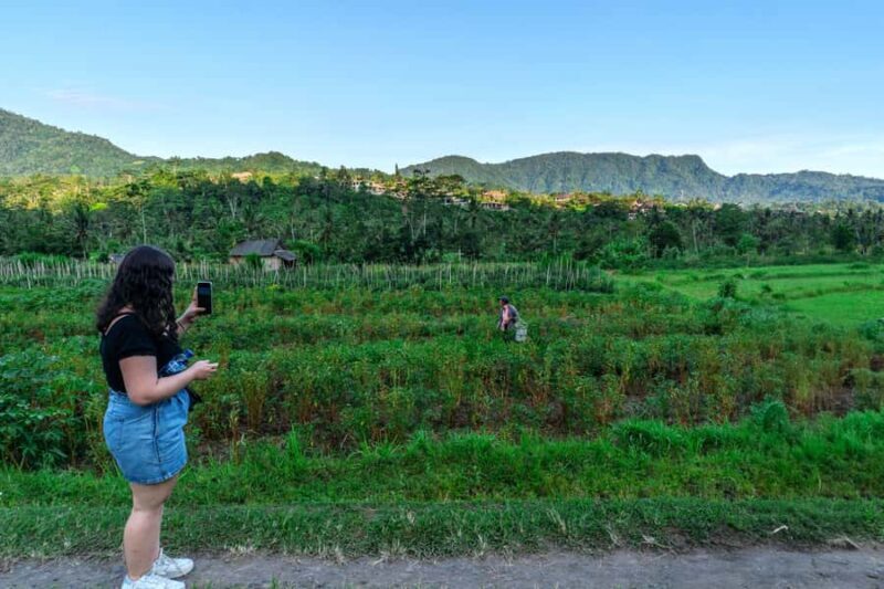 East Bali: Authentic Sidemen Rice Fields Walk & Snorkeling - Practical Details and Value