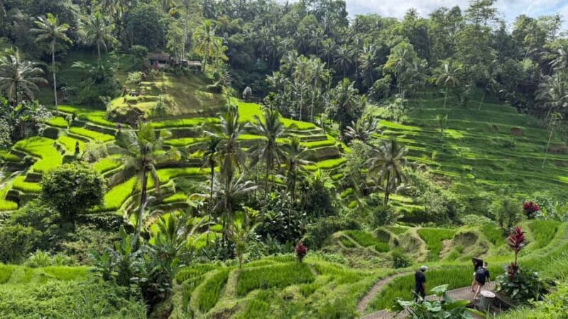 East Bali: Bali Bestie Full Day Tour - Breaking Down the Day: What to Expect on the Bali Bestie Tour