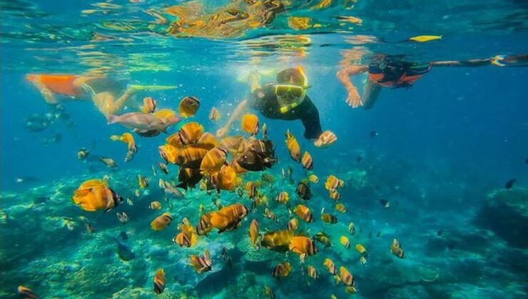 East Bali : Blue Lagoon Snorkeling All Inclusive - Detailed Description