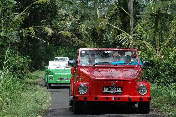East Bali Discovery Tour by VW Safari - Inclusions