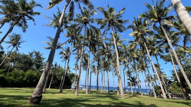 East Bali: Gembleng waterfall, Tenganan and Virgin beach - FAQ