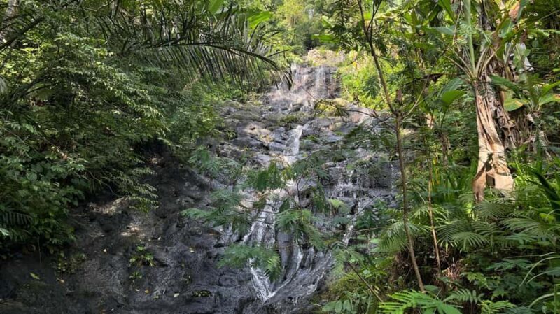 East Bali: Gembleng waterfall, Tenganan and Virgin beach - Authenticity & Review Highlights
