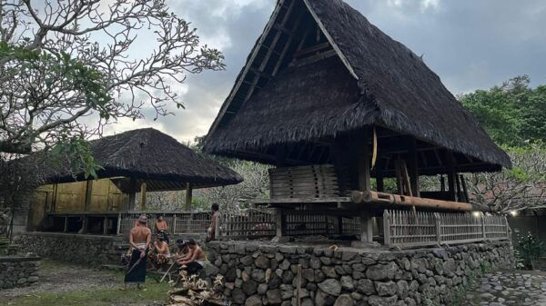 East Bali: Gembleng Waterfall, Tenganan and Virgin Beach - Customer Experiences