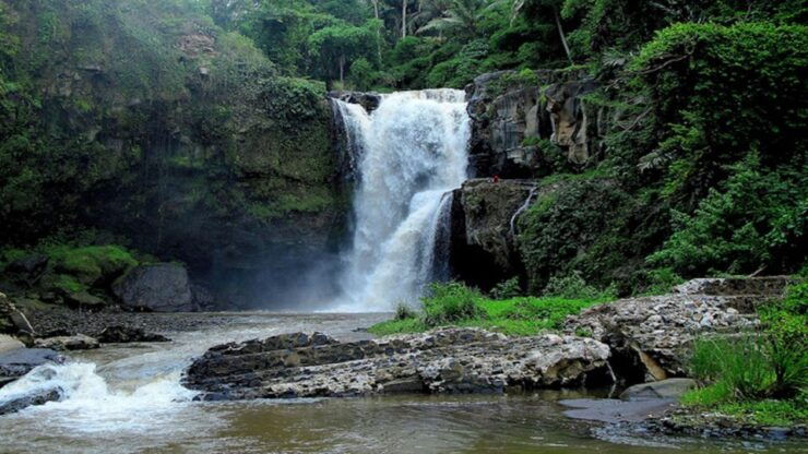 East Bali: Snorkeling, Canyoning, and Waterfall Day Trip - Activity Overview