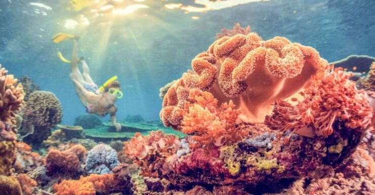 East Bali: Snorkeling Day Trip to Amed - Good To Know