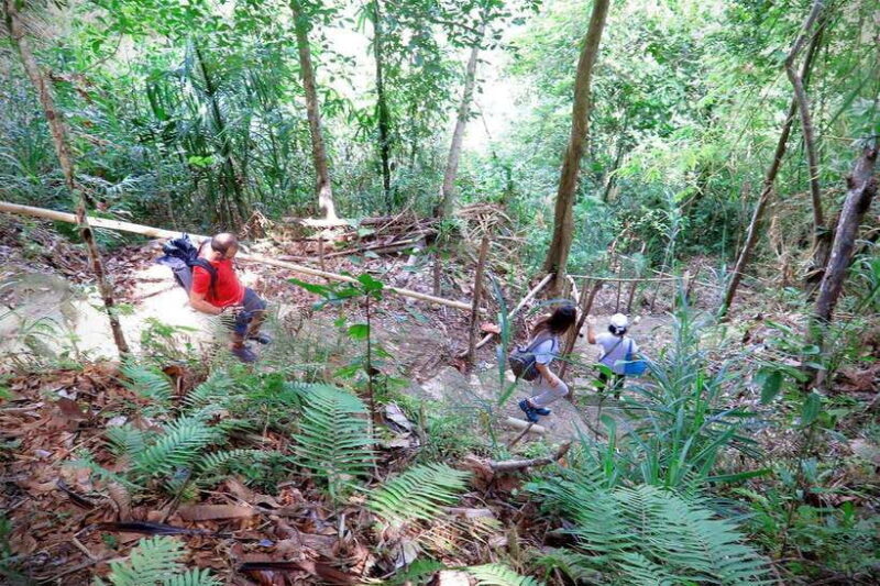 East Bohol: Anda, rice terraces, waterfalls, Lamanok island - FAQ