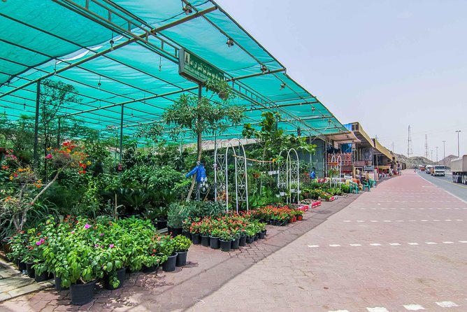 East Coast Dibba & Fujairah Day Trip With Lunch From Dubai - Discover Khor Fakkan and Fujairah Fort