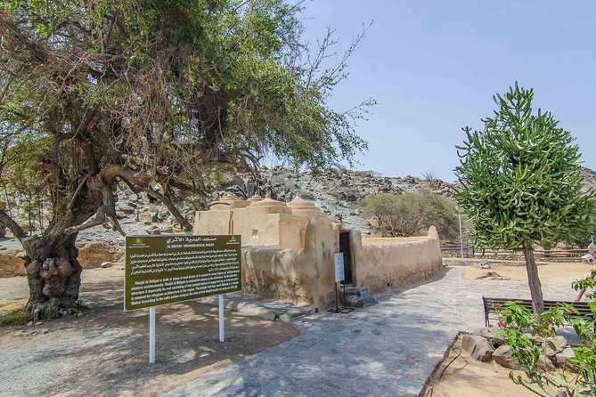 East Coast Dibba & Fujairah Day Trip With Lunch From Dubai - Experience the Oasis of Bithnah