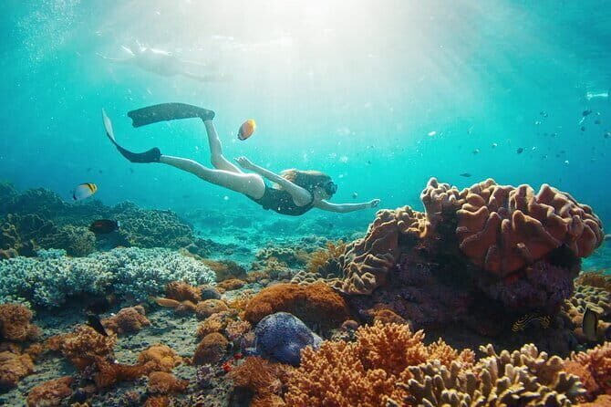 East Coast of Nusa Penida Private Snorkeling - A Closer Look at the Private Snorkeling Experience