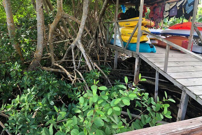 East Coast Private Island Day Trip Kayak & Picnic Experience - Good To Know  