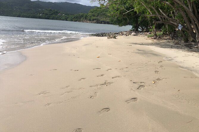 East Coast Private Island Day Trip Kayak & Picnic Experience - How the Experience Holds Up on Value and Practicality