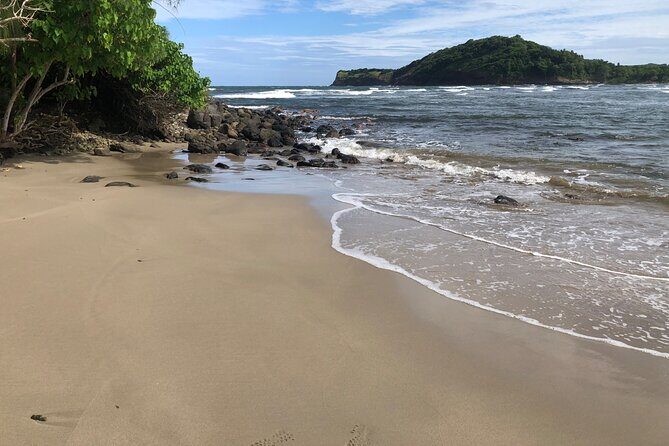 East Coast Private Island Day Trip Kayak & Picnic Experience - FAQ