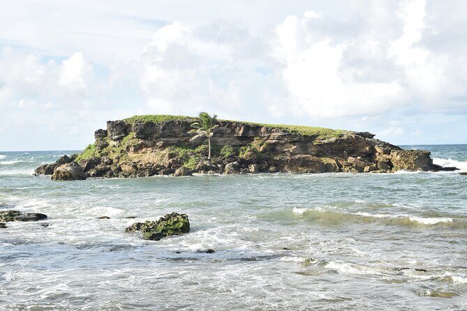 East Coast Private Tour of Barbados - Good To Know