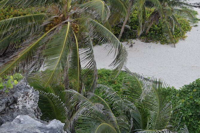 East Coast Private Tour of Barbados - Practical Tips for Booking and Enjoying the Tour