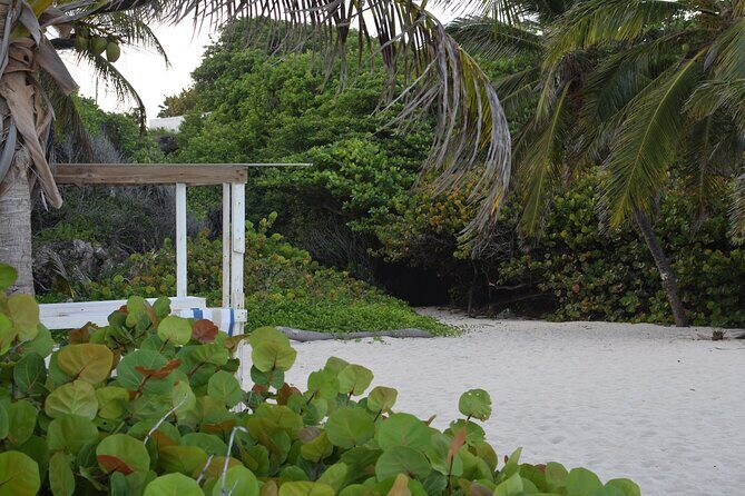 East Coast Private Tour of Barbados - Authentic Feedback from Travelers