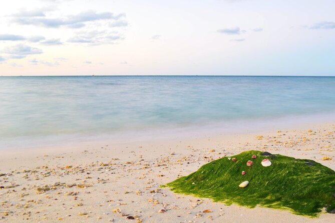 East Coast Tour - Exploring the Hajar Mountains