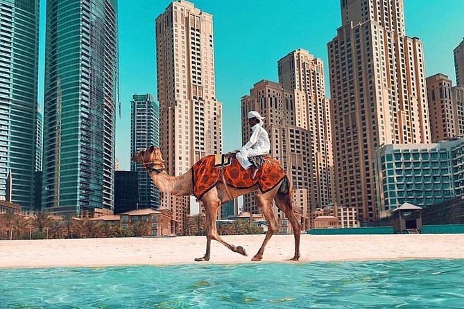 East Coast Tours - Away of Urban (Kids Friendly) - The Sum Up